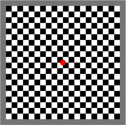 EEG Face Task