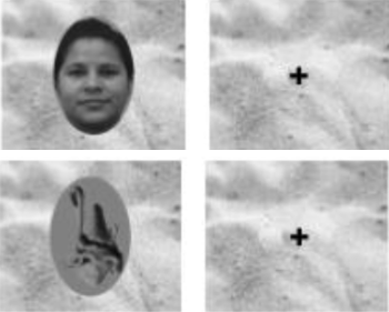 EEG Face Task